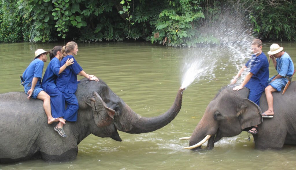Mahout-Elephant-Water-Spray-Cover-Image.jpg