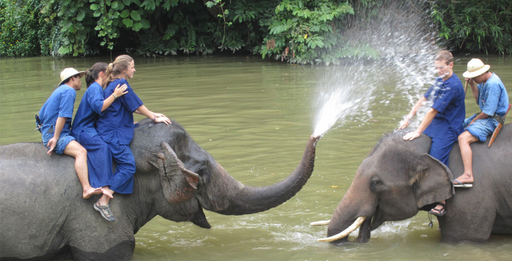 Mahout-Elephant-Water-Spray-Cover-Image.jpg