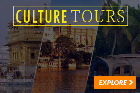 culture tours