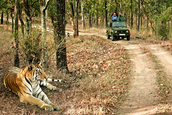 Bandhavgarh National Park2