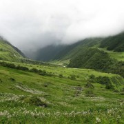 valley of flowers1