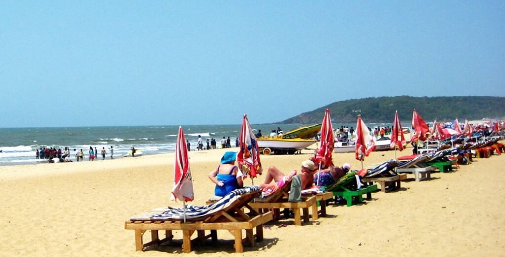 Tree-house-Cover-Image