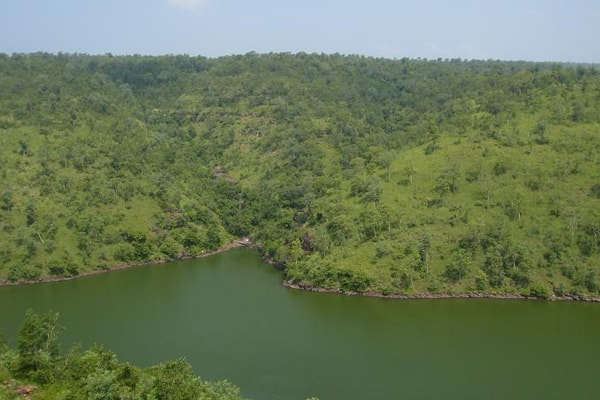 Narsapur Forest