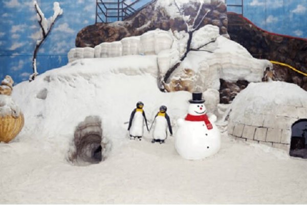 Maniar’s-Wonderland